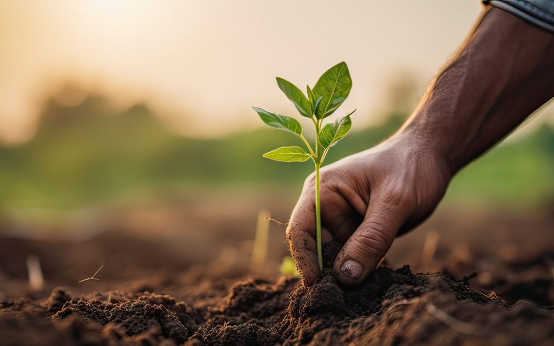 HARNESSING GLUTAMIC ACID FOR SUSTAINABLE AGRICULTURE