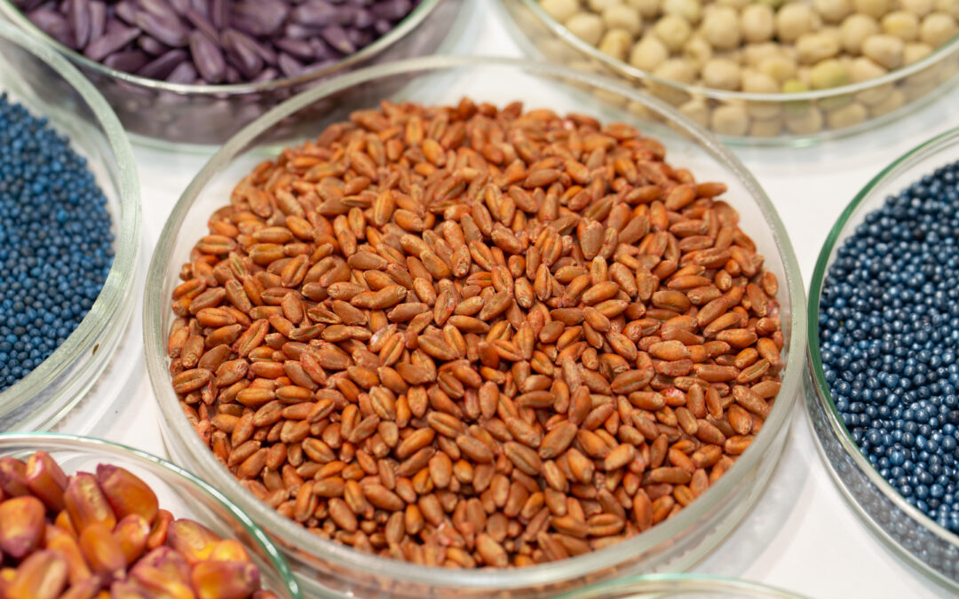Tensiofix microplastic-free binder sets a new benchmark for seed coating, combining high performance with compliance to EU REACH regulations.