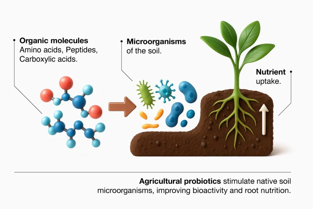 Agricultural Prebiotics