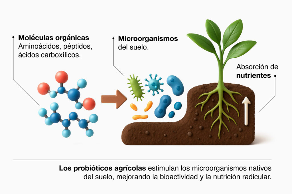 prebióticos agrícolas