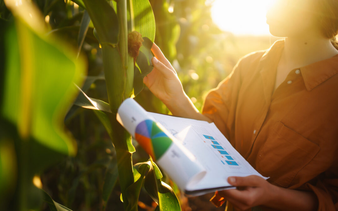 La importancia de los ensayos de campo en la evaluación de bioestimulantes