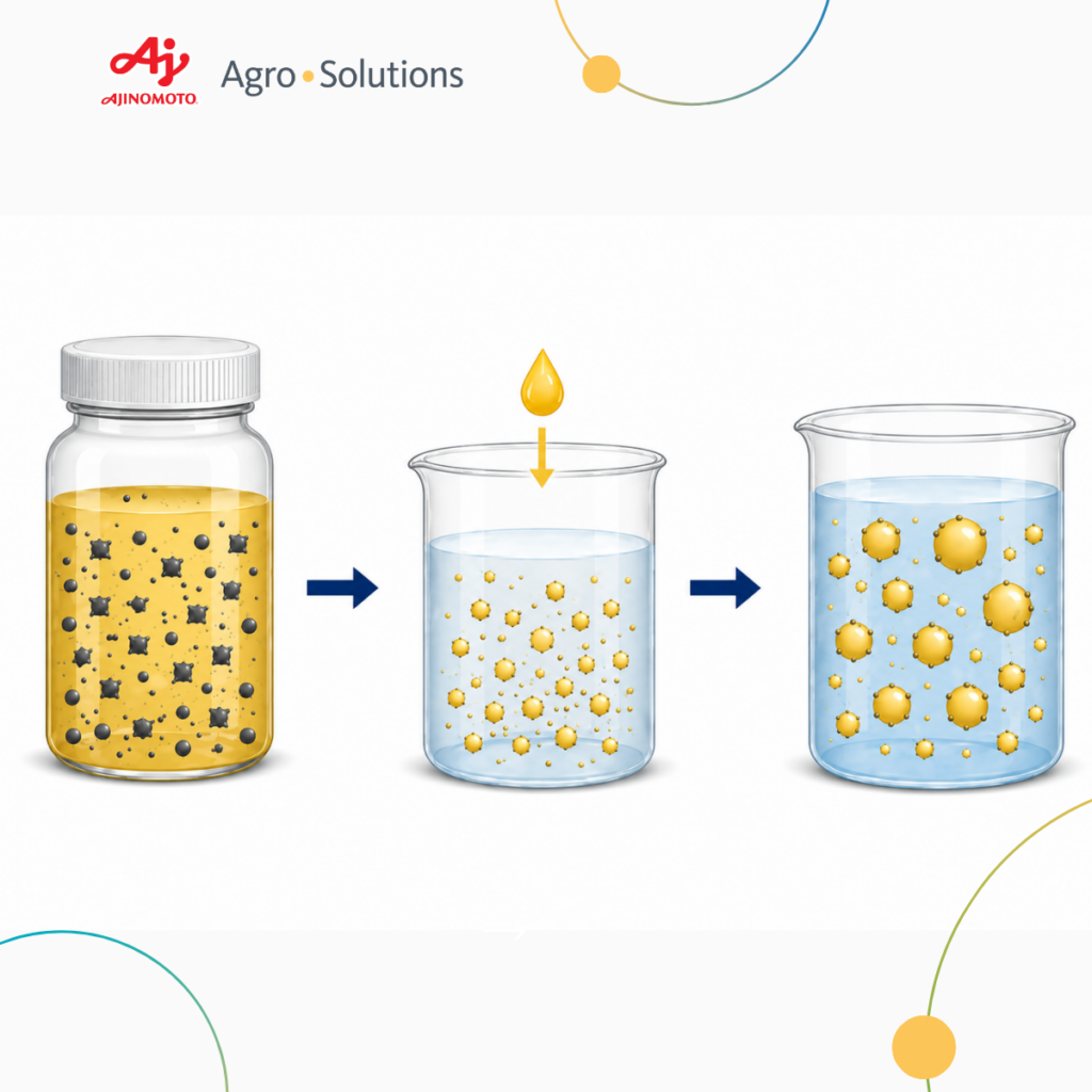 OD Formulations